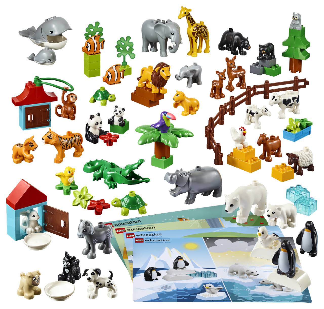 45029 Animals